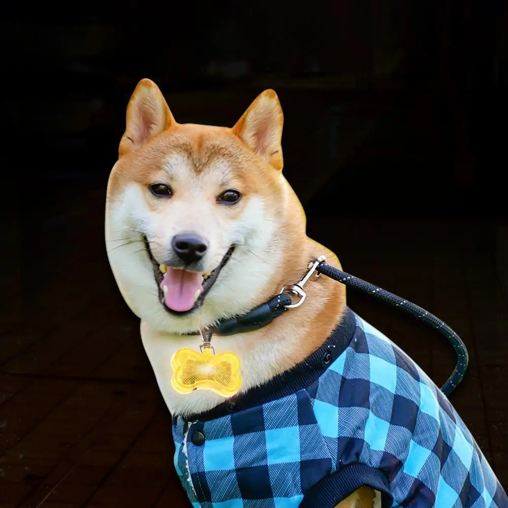 (10pcs) Fashion Dog Cat Pet Puppy Collar Pendant Plastic LED Light Safety Luminous Flash Jewelry Pet Pendants Products Accessories - Image 2