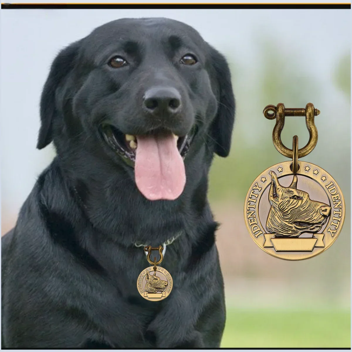 VIP Customizable Engraved Pets ID Tag for Dog Cat Bronze Nameplate Tags Personalized Address Number Dogs Collar ID Pendant - Image 3