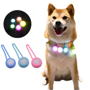 5pcs Pet Luminous Pendant, Dog LED Walking Dog Night Silicone Hanging Tag, Cat Anti-lost Dog Tag