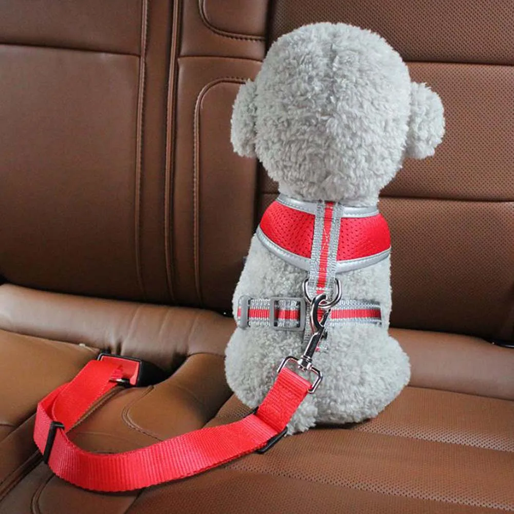 1PC Pet Car Safety Buckle Car Pet Safety Belt, Suitable for Small and Medium-sized Dogs, Pet Out Safety Supplies - Image 6