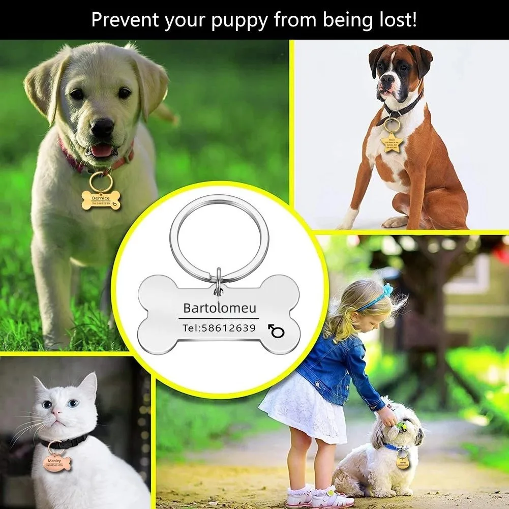 (5pcs) Personalized Engraved Cat Dog Pet ID Tag Dogs Anti-lost Collar Charm Engraving Pet Name Collar for Puppy Cats Collar Accessories - Image 2