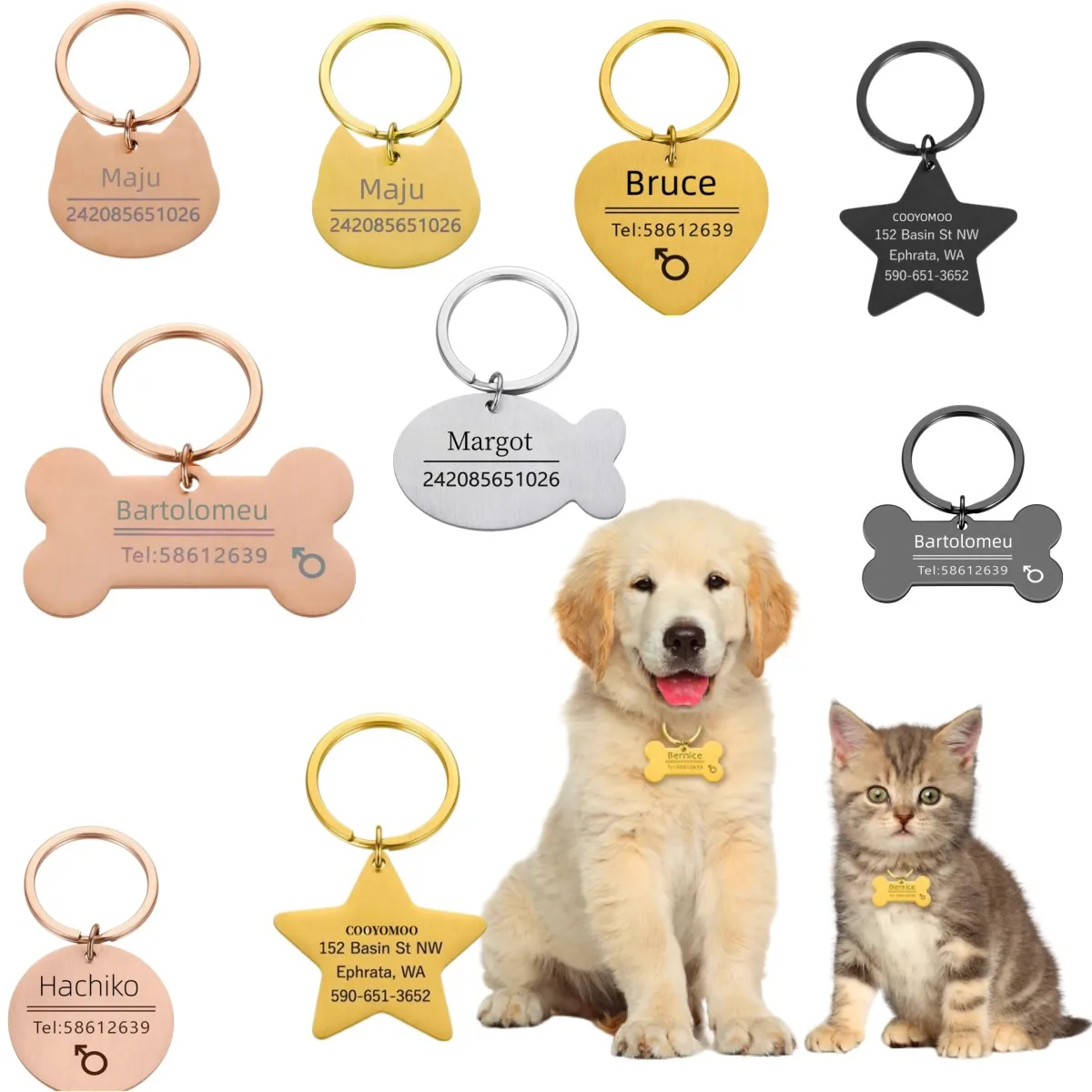 (5pcs) Personalized Engraved Cat Dog Pet ID Tag Dogs Anti-lost Collar Charm Engraving Pet Name Collar for Puppy Cats Collar Accessories - Image 3